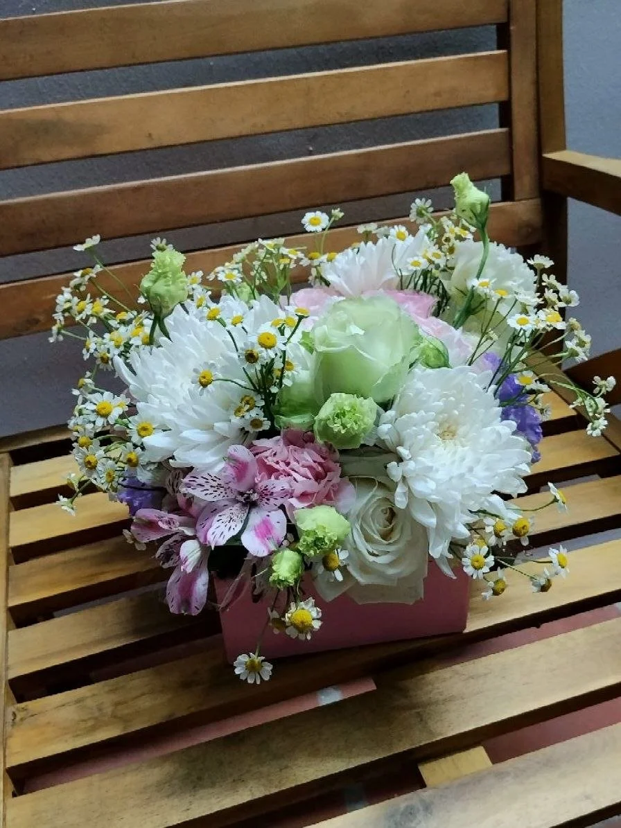 Maison Bloom 2