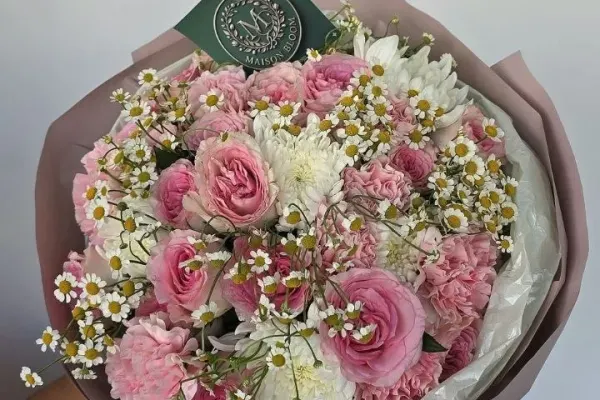 Maison Bloom 2
