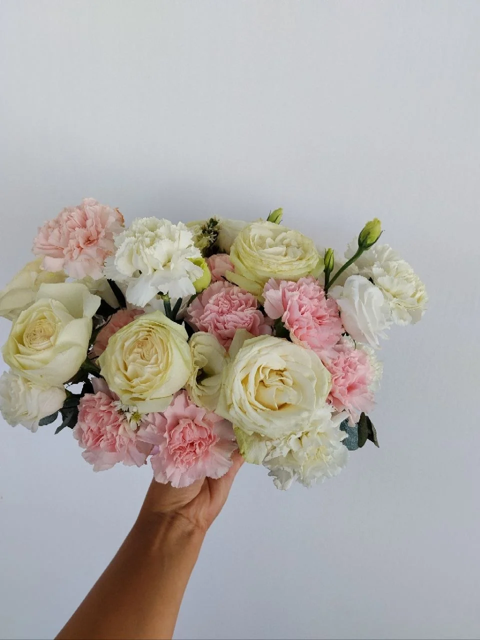 Maison Bloom 3