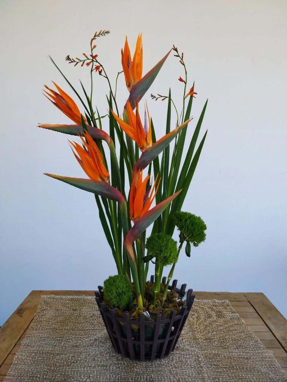 Maison Bloom 5