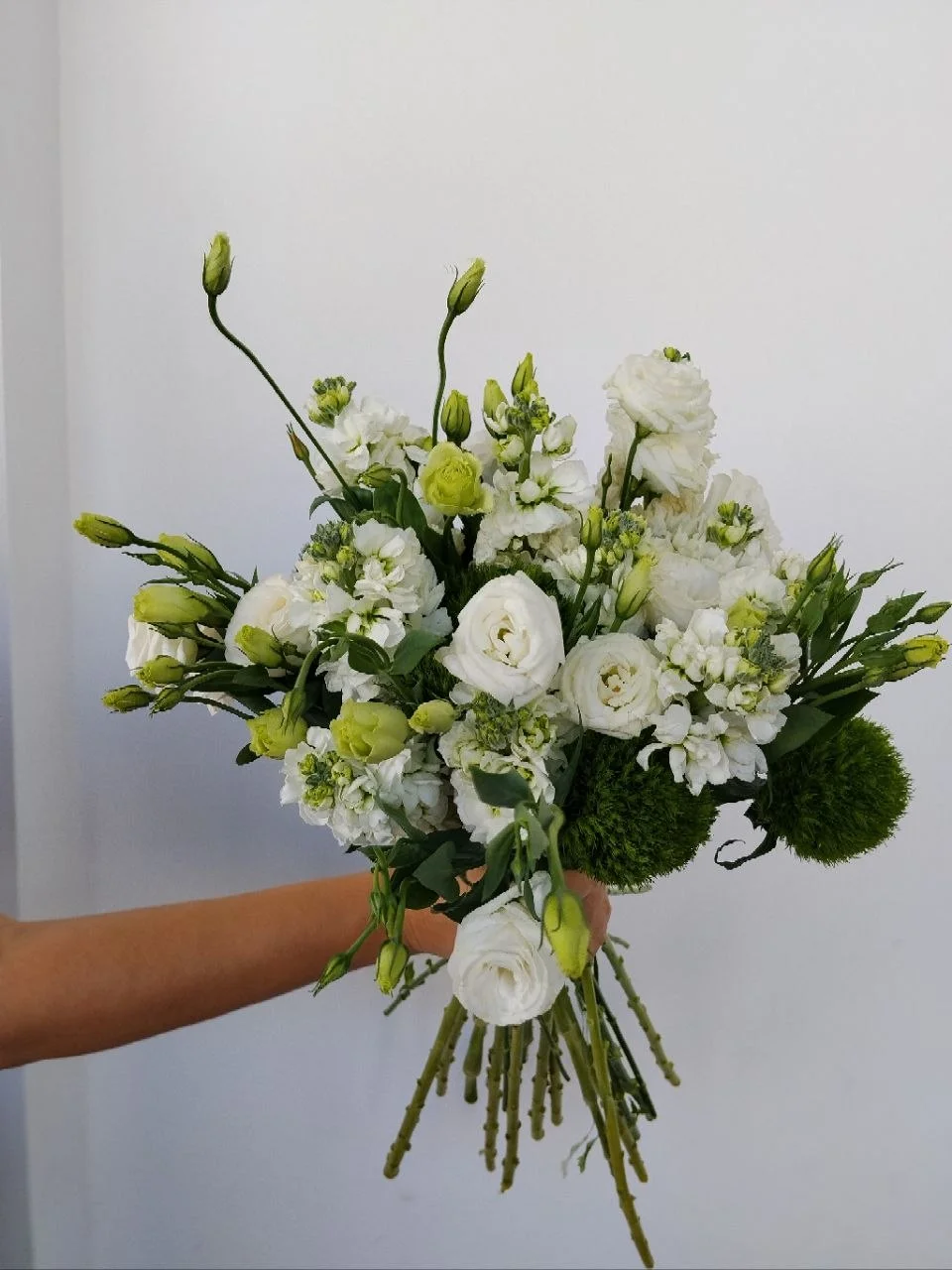 Maison Bloom 6