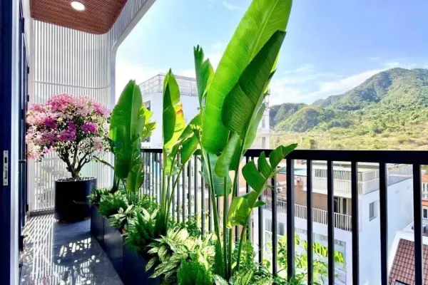 Penthouse 4