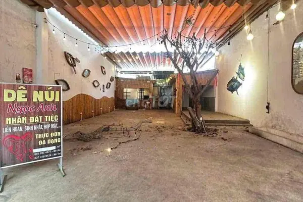 247.00 м²