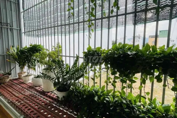 House, 3 спальни, 82.00 м² 2