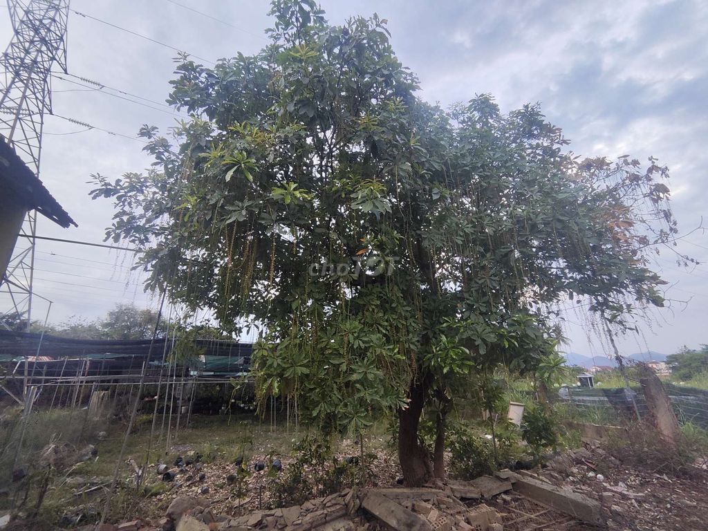 Дом, 2 спальни · 400 м² 2
