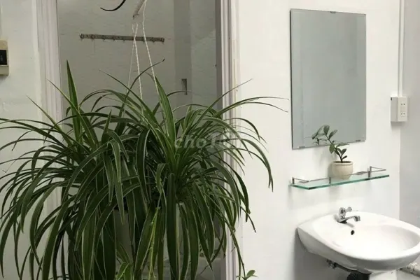 Дом, 3 спальни · 80 м² 2
