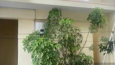6 спален · 300 м² 6