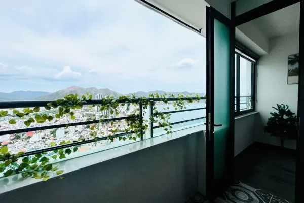 Apartment 5