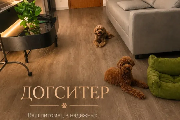 Догситтер в Нячанге