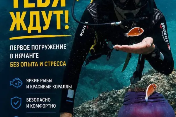 Персональный дайвинг и снорклинг в Нячанге