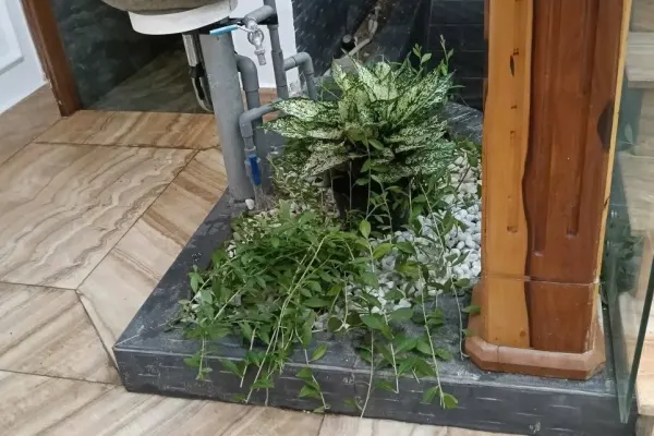 Дом, 2 спальни