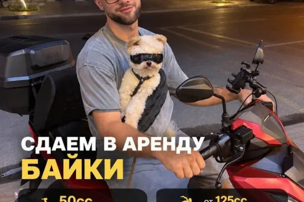 Аренда транспорта