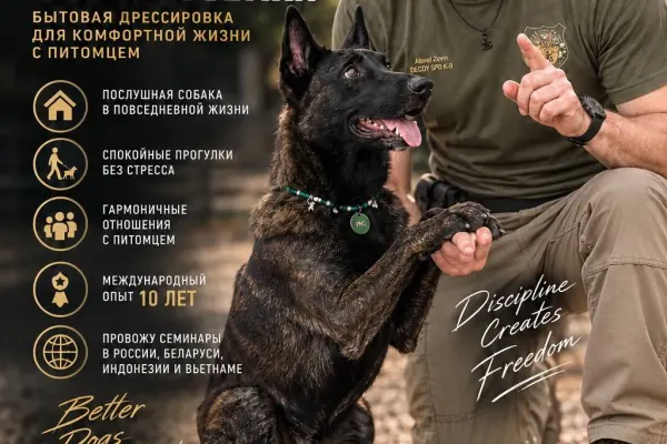 Дрессировка собак