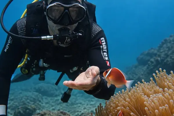 Персональный дайвинг и снорклинг с русским инструктором