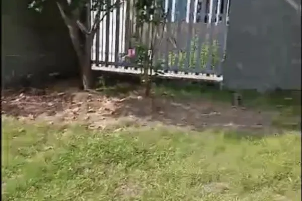 Дом, 3 спальни