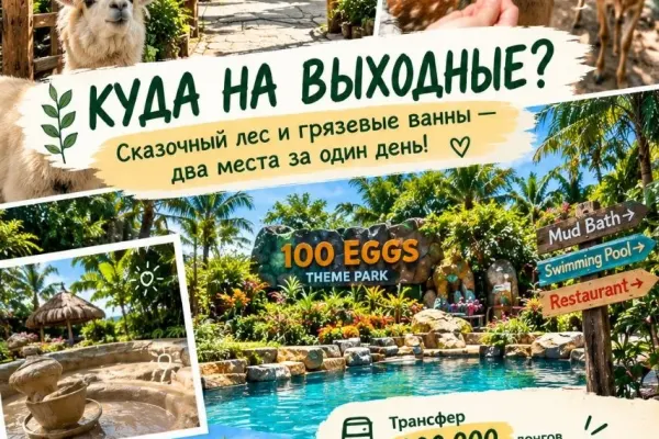 Поездка на выходные: Сказочный лес и грязевые ванны