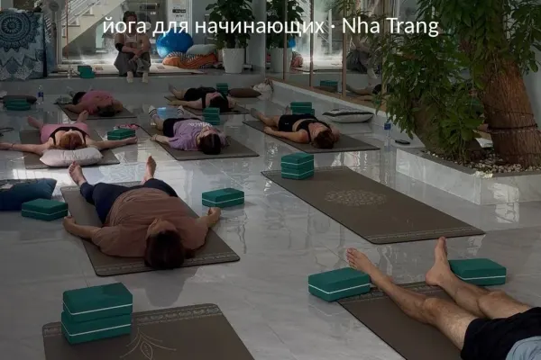 Практика йоги на всё тело