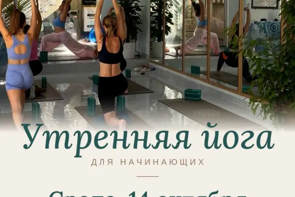Утренняя йога для начинающих