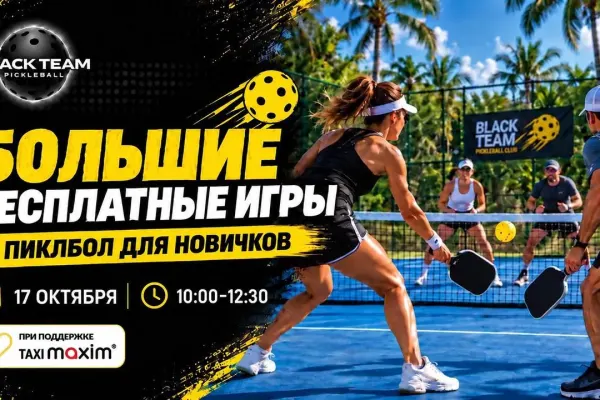 Большие бесплатные игры в пиклбол для новичков