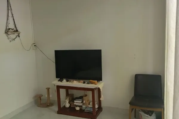 Студия 4