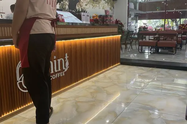 Студия 7