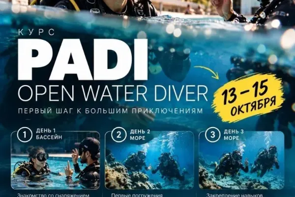 Курс PADI OPEN WATER DIVER