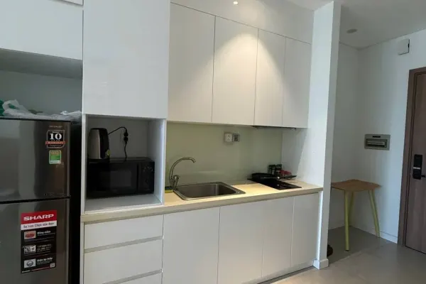 Студия · 45 м² 4