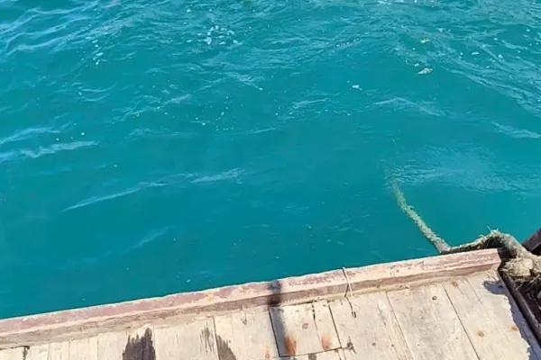 Private Boat Tour