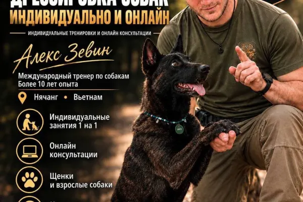 HappyDog_NhaTrang — мастер-класс по поведению собак с Алексом Зевиным