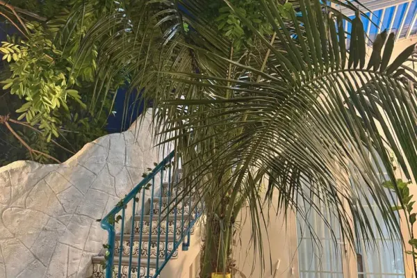 House, 2 спальни