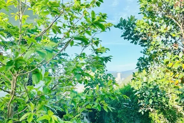 Villa, 5 спальни, 151.00 м² 2