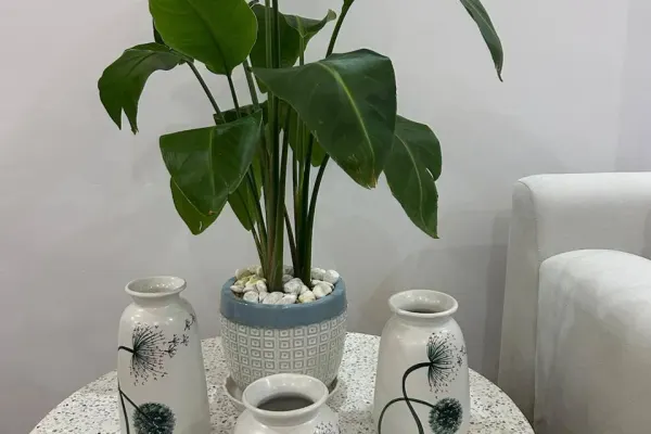 House, 1 спальни 4