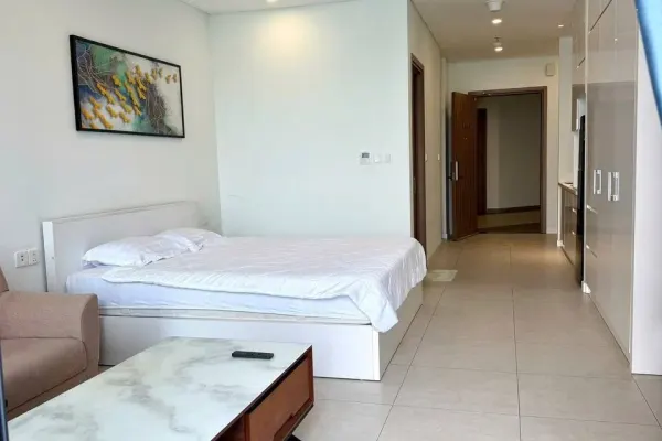 Студия · 45 м² 3