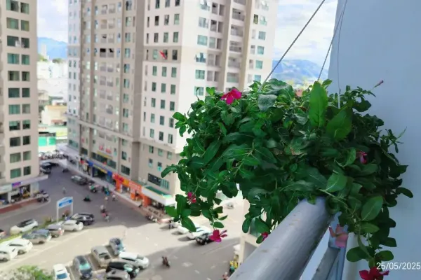 Квартира, 2 спальни 4