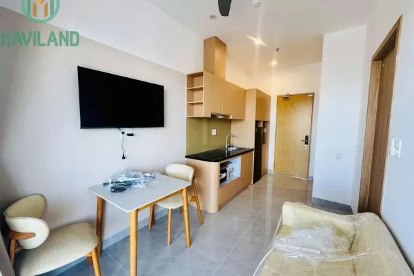 Penthouse, 1 спальни 4