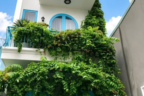 House, 3 спальни