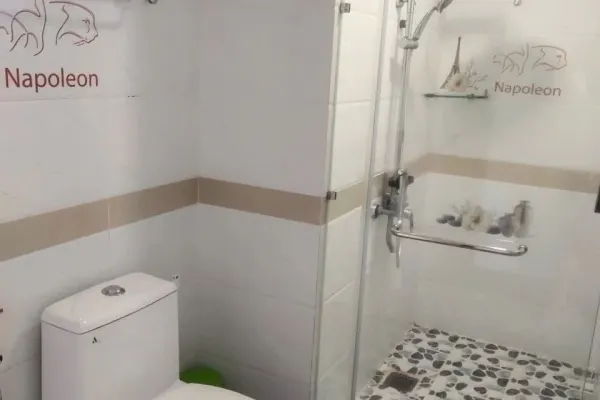 Apartment, 3 спальни, 77.00 м² 8