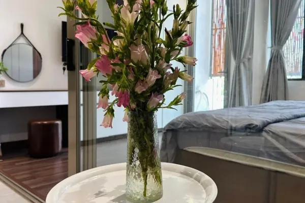 Apartment, 1 спальни 9