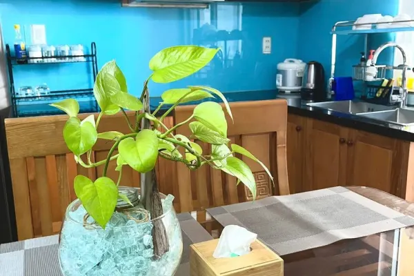 Квартира, 2 спальни · 59 м² 5