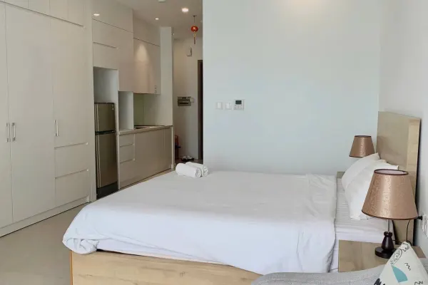 Студия · 45 м² 3