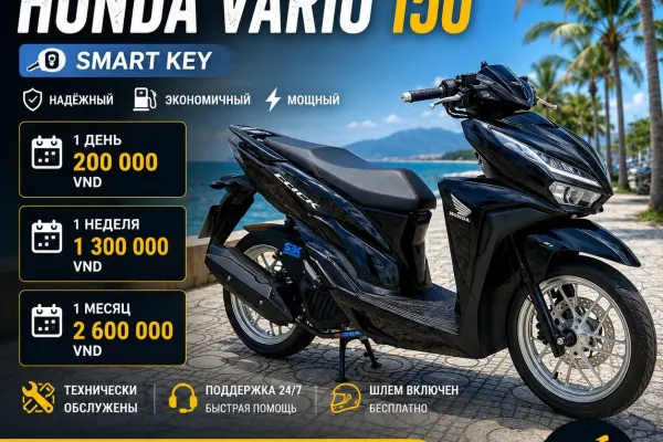 Vinfast Lite 50