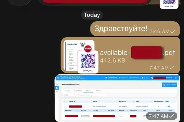 Оформление ДТВ визы