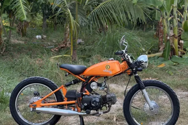 Solowins 50cc