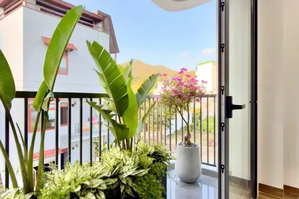 Studio, 35.00 м² 3