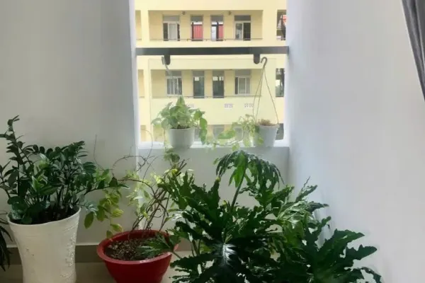 Квартира, 3 спальни · 70 м² 4
