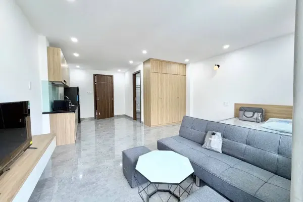 Студия · 45 м² 3