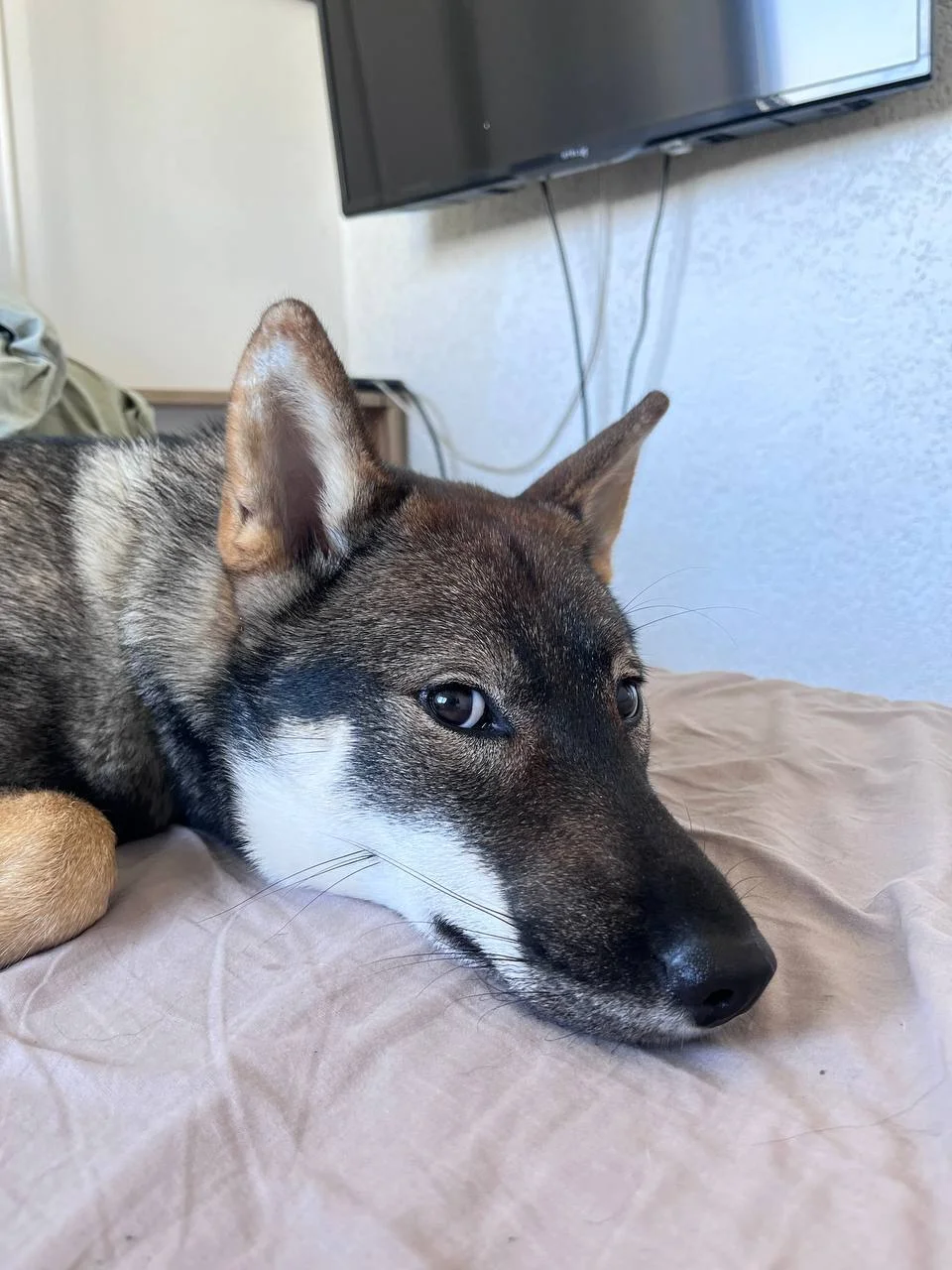 Изображение 4