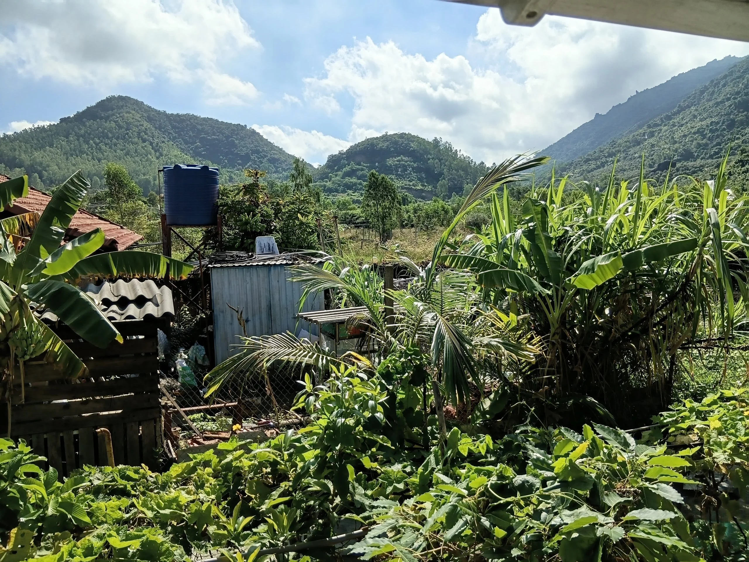 Изображение 10