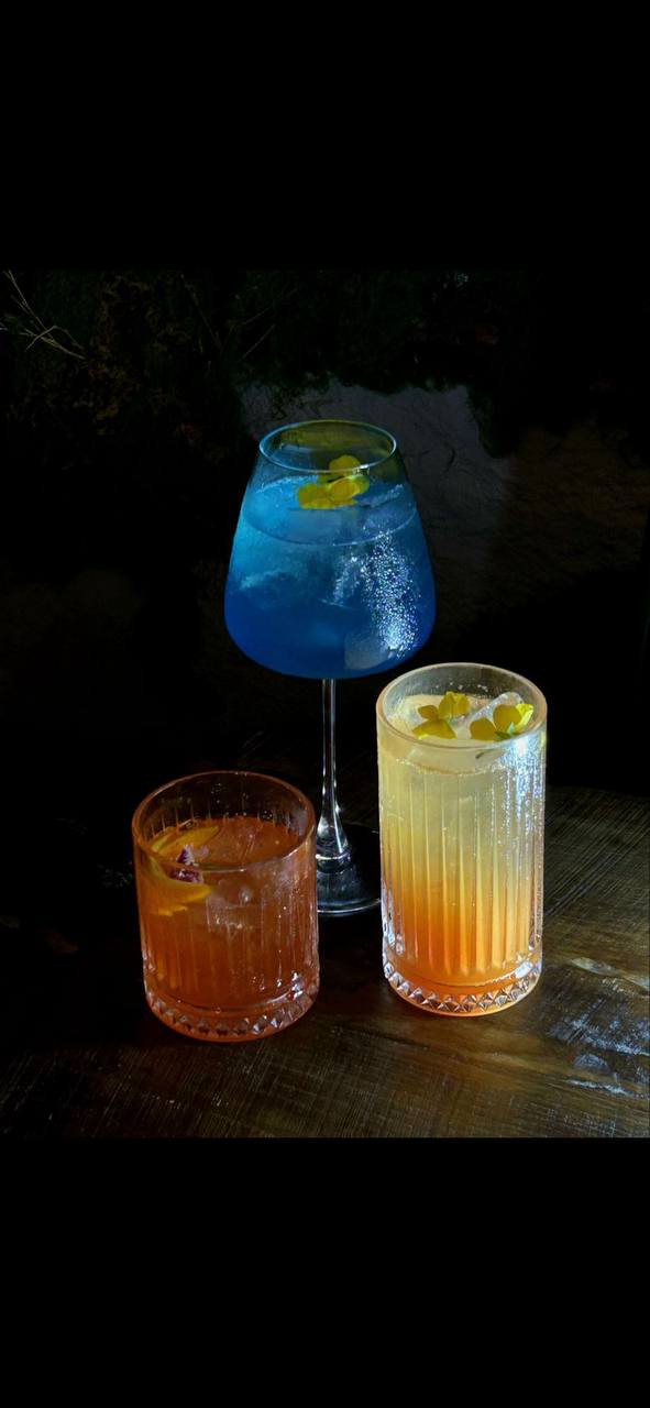 AGAVE | Tequila garden & Restaurant & Lounge 3