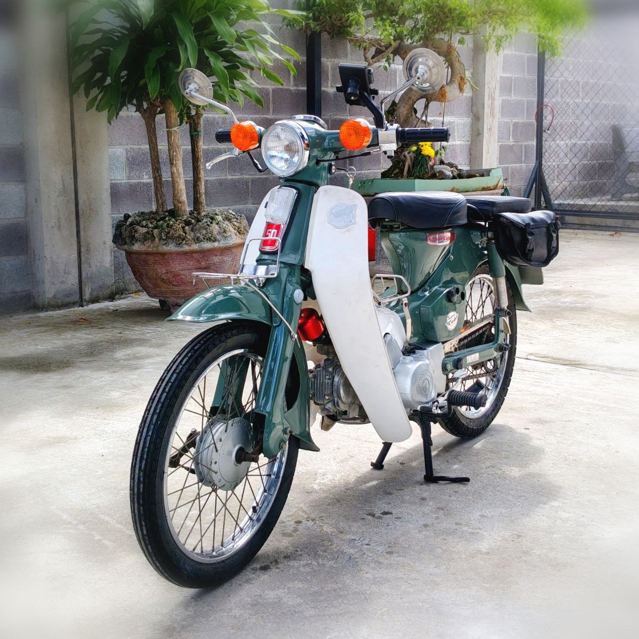 Honda Cub